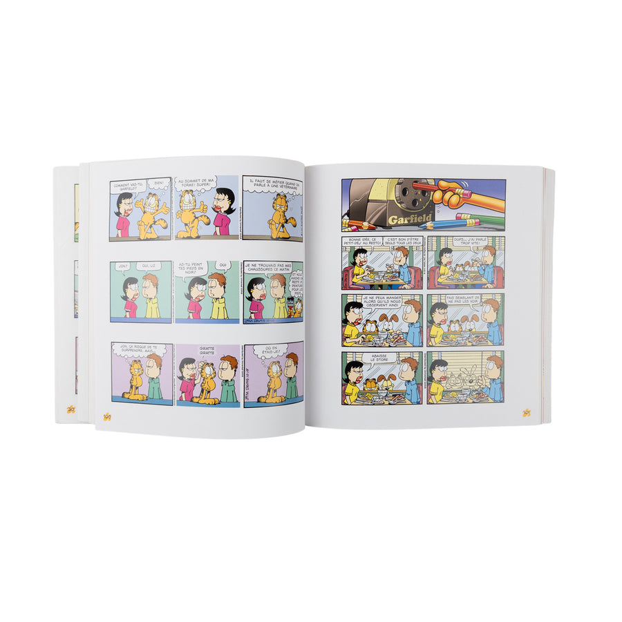 Garfield, poids lourd