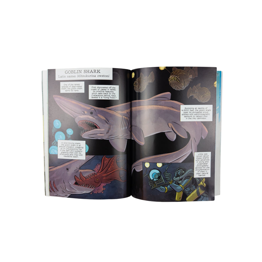 Science Comics Sharks