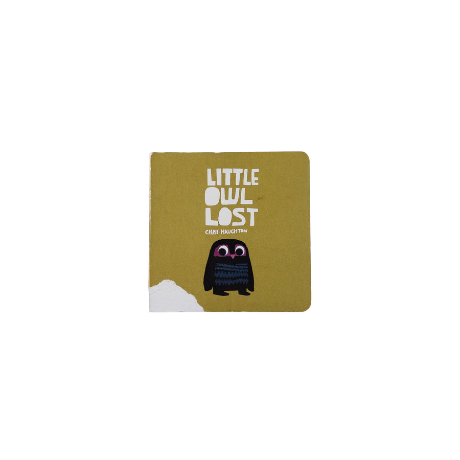 Little Owl Lost