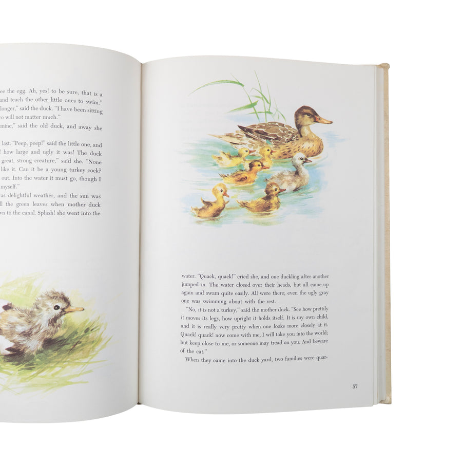 Hans Christian Andersen Favorite Fairy Tales