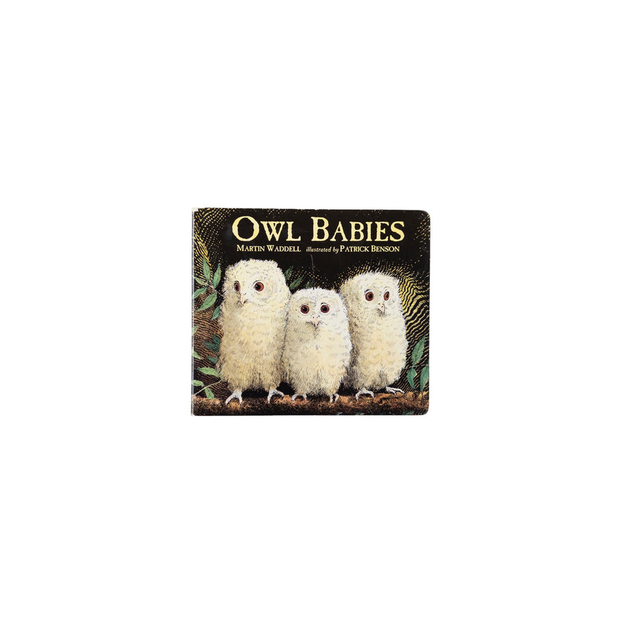 Owl Babies