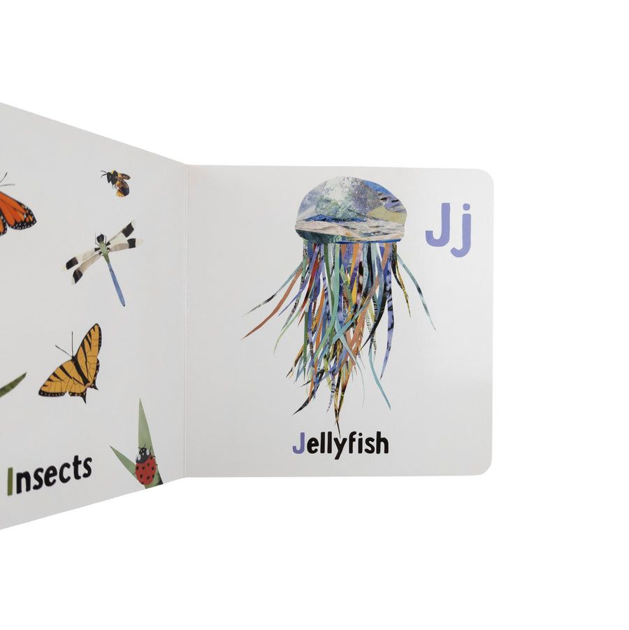 Atlantic Animal ABC