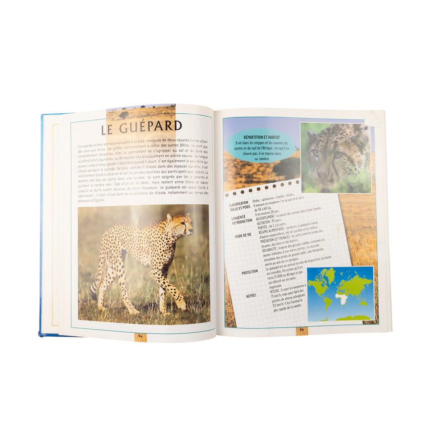 L'atlas des animaux