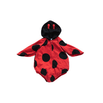 Carter's ladybug costume 6-9m