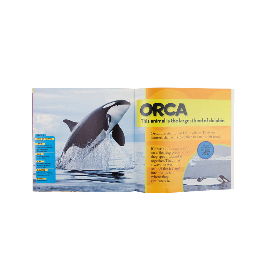 Book of Ocean Animals