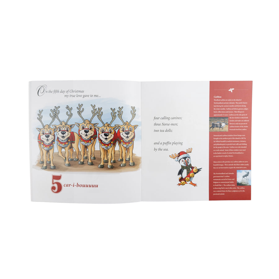 A Puffin Playing by the Sea, The Twelve Days of Christmas in Newfoundland and Labrador