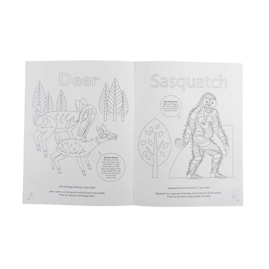 Learn From The Animals Of The Salish Sea