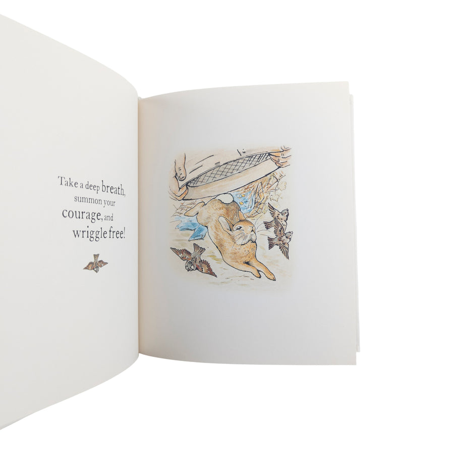 The Tale Of You, Hopping into Life