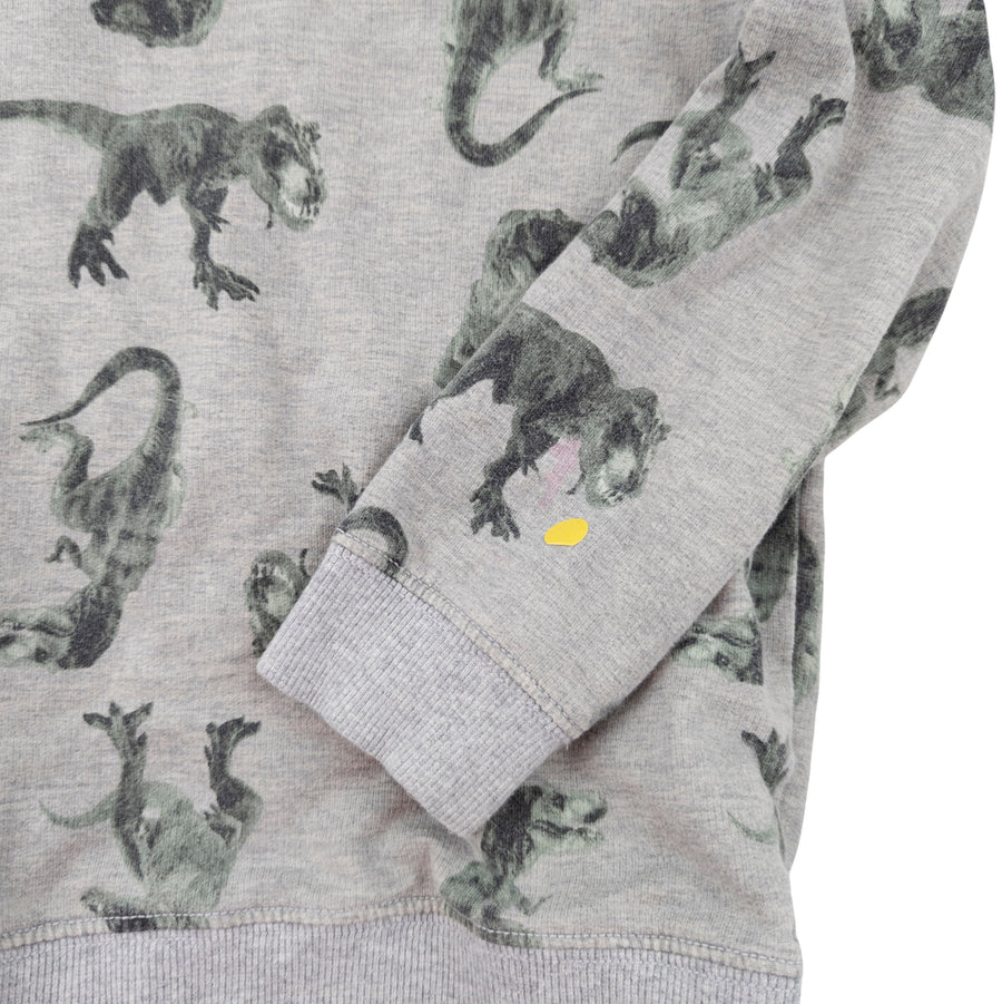 Carter's sweatshirt 8 (dino)