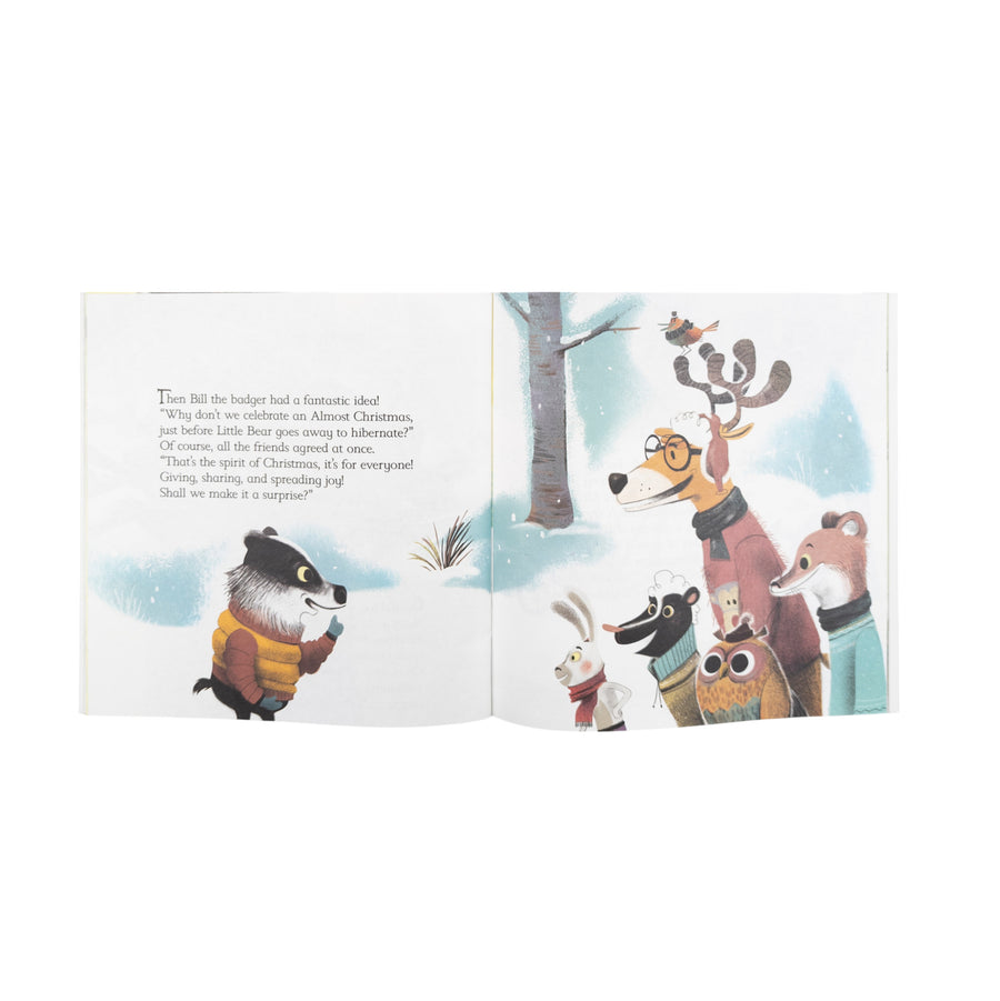 The Bear who didn't want to miss Christmas