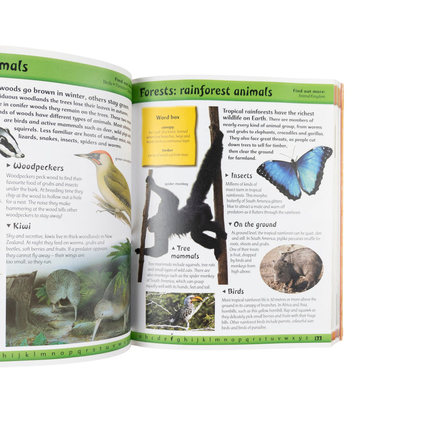Children's A to Z Encyclopedia