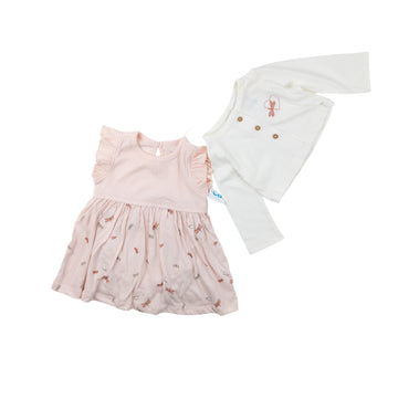 Carter's outfit nb (dragonfly)