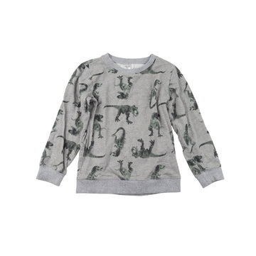 Carter's sweatshirt 8 (dino)