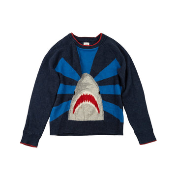 Gap sweater 8 (shark)