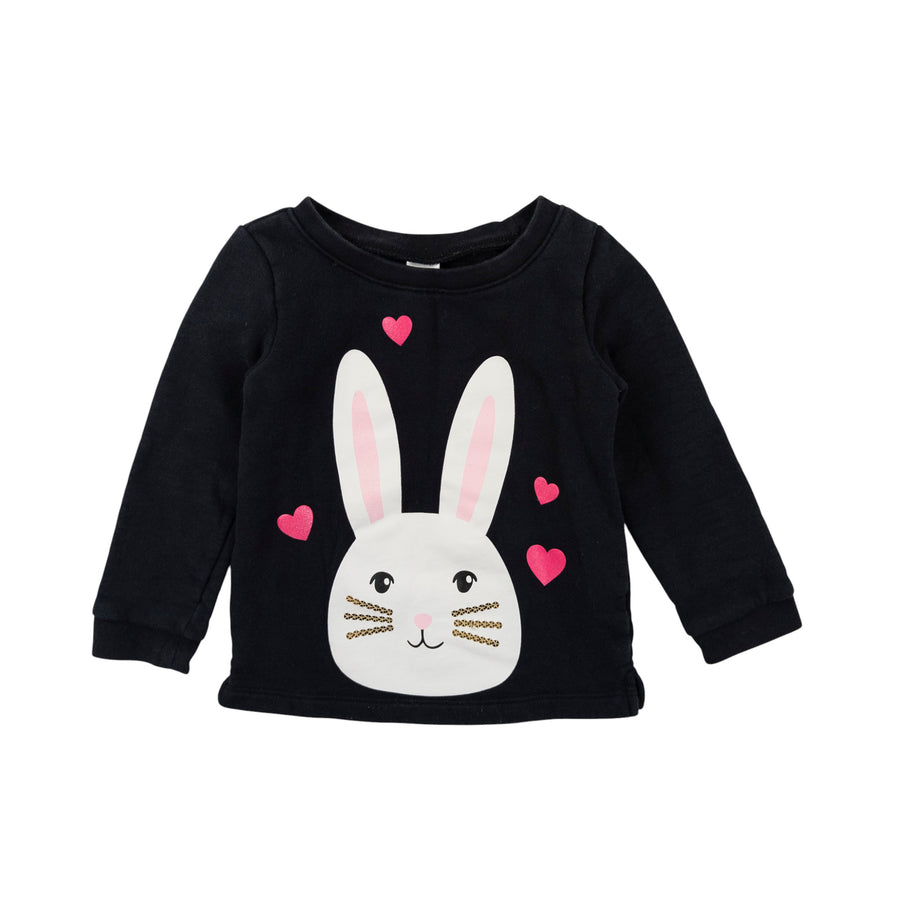 Carter's sweatshirt 3 (bunny)