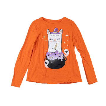 Children's Place long sleeve 10-12 (llama witch)