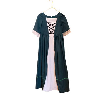 Princess costume  dress 12
