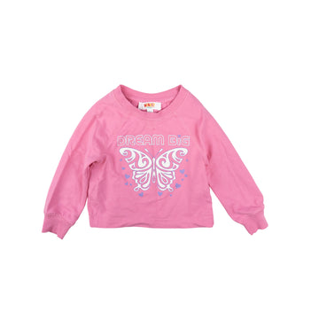 Monkey Bars sweatshirts 2-3 (set of 2)