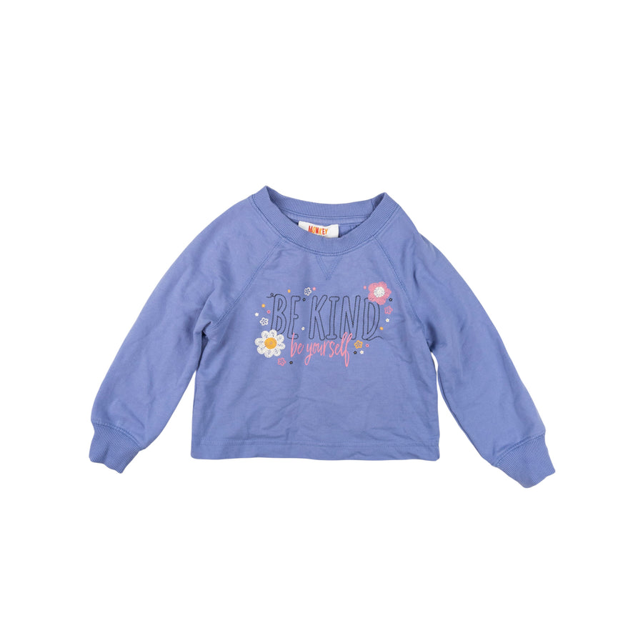 Monkey Bars sweatshirts 2-3 (set of 2)