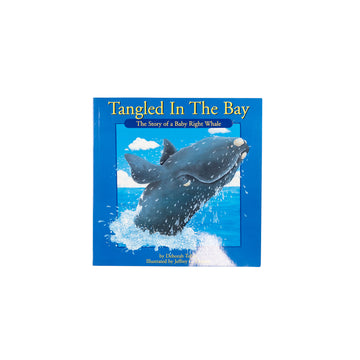 Tangled In The Bay