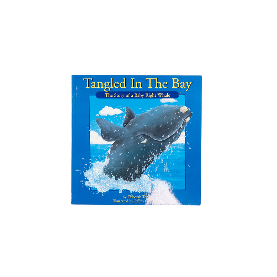 Tangled In The Bay