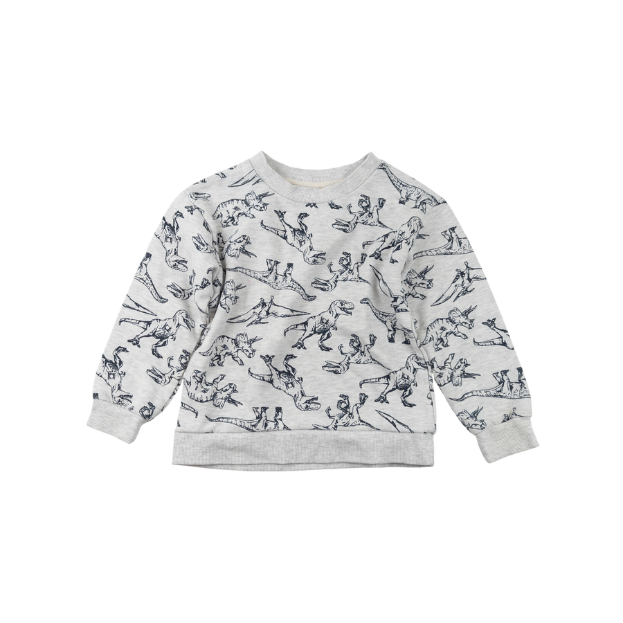 Joe Fresh sweatshirt 5 (dino)