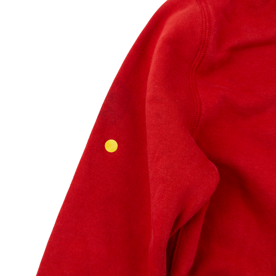 Gap hoodie 12-13 (red)