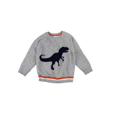 Gap sweatshirt 4 (T-Rex)