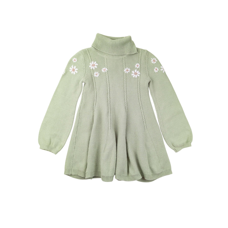Cupcakes & Cashmere knit dress 5-6