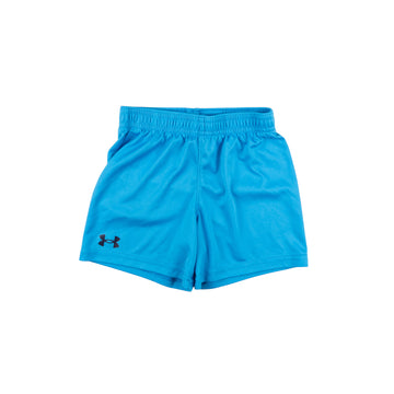 Under Armour shorts 2 (blue)