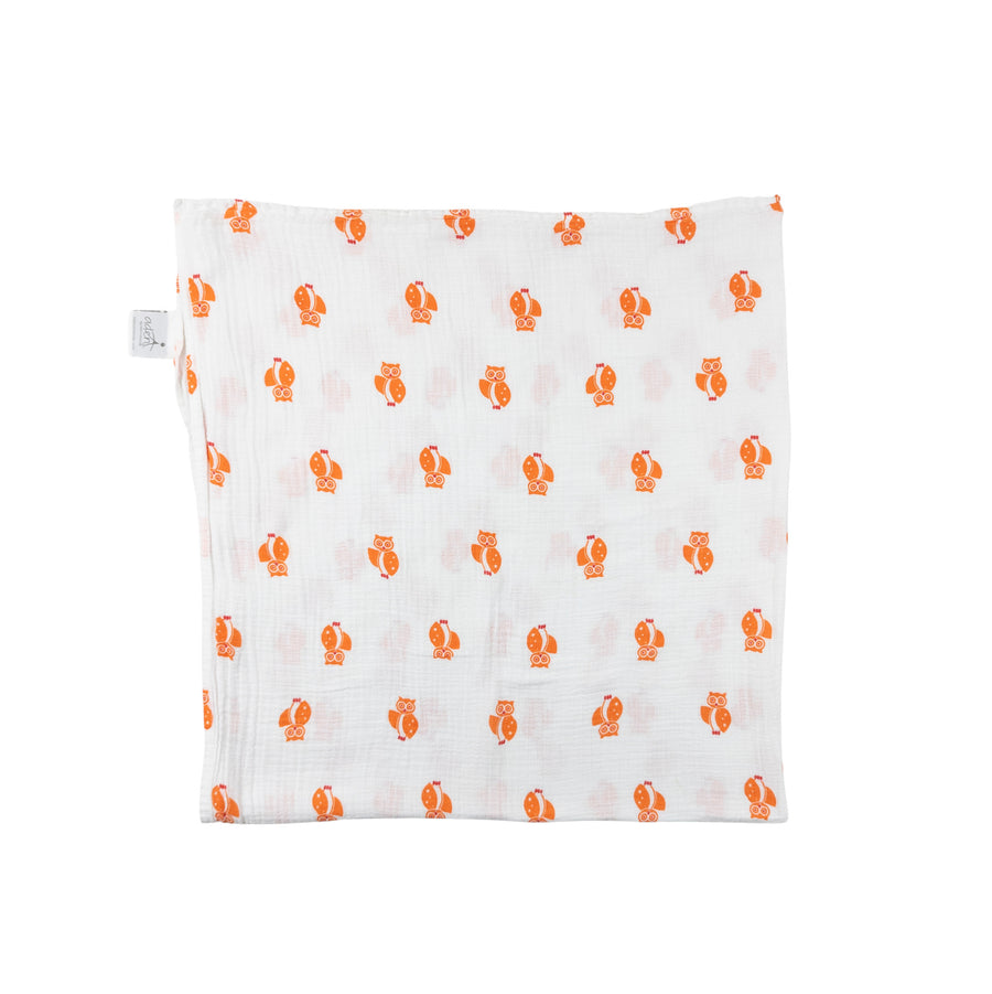 Aden + Anais muslin swaddle (owl)