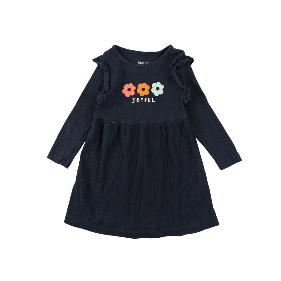 Lupilu dress 2-4 (joyful)