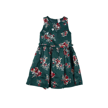 Carter's dress 4 (green/red floral)