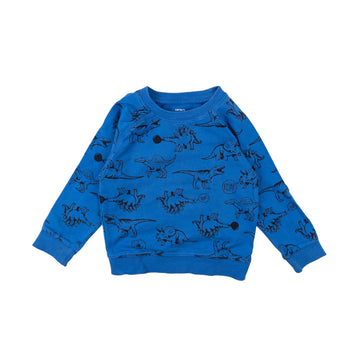 Carter's sweatshirt 4 (dinos)