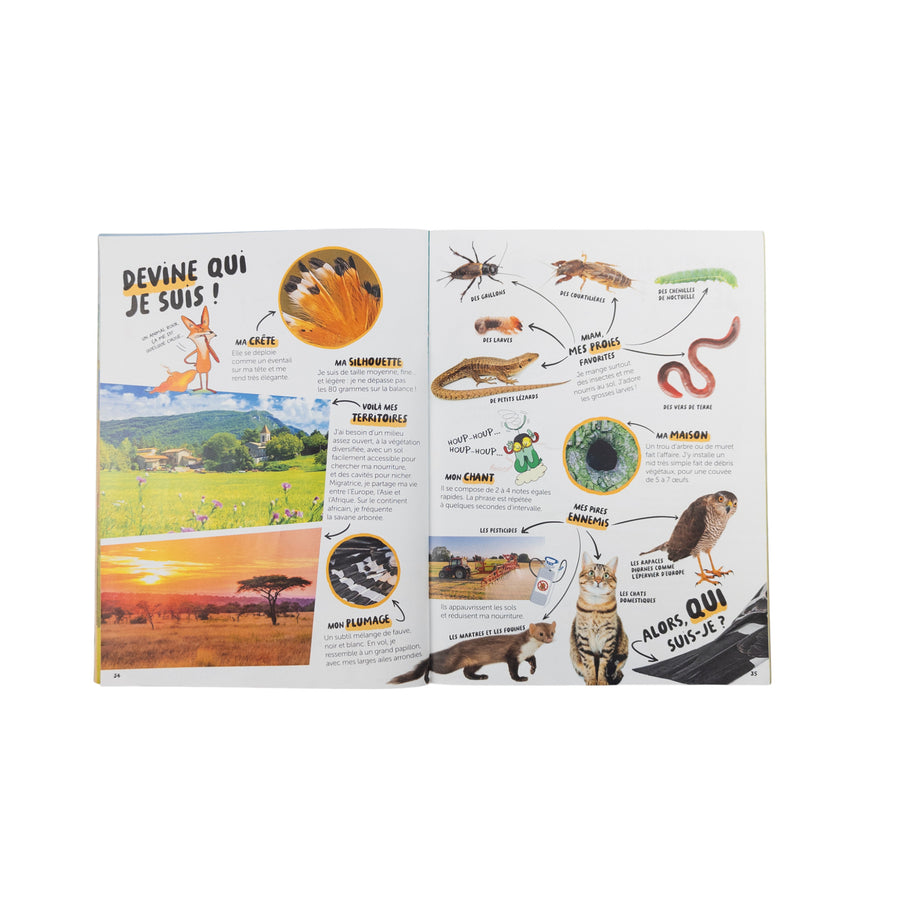 Wapiti magazine nature