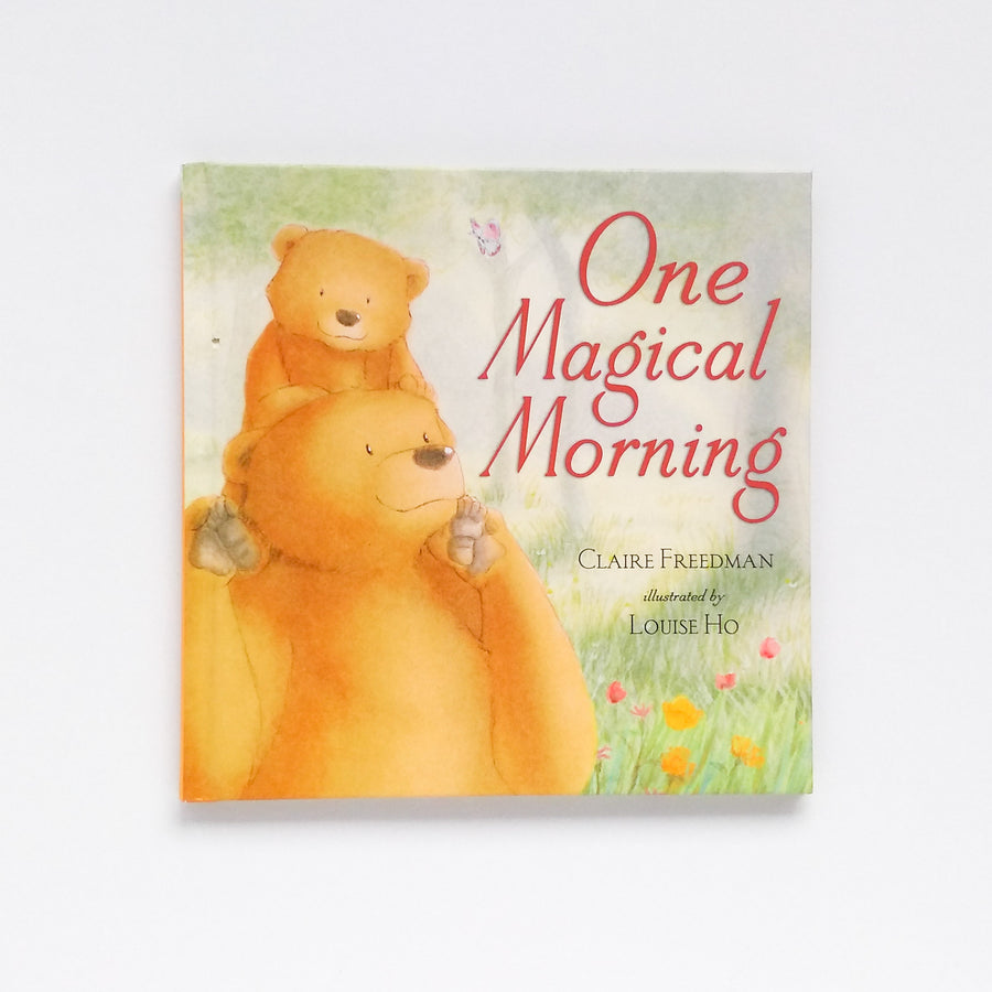 One Magical Morning by Claire Freedman & Louise Ho