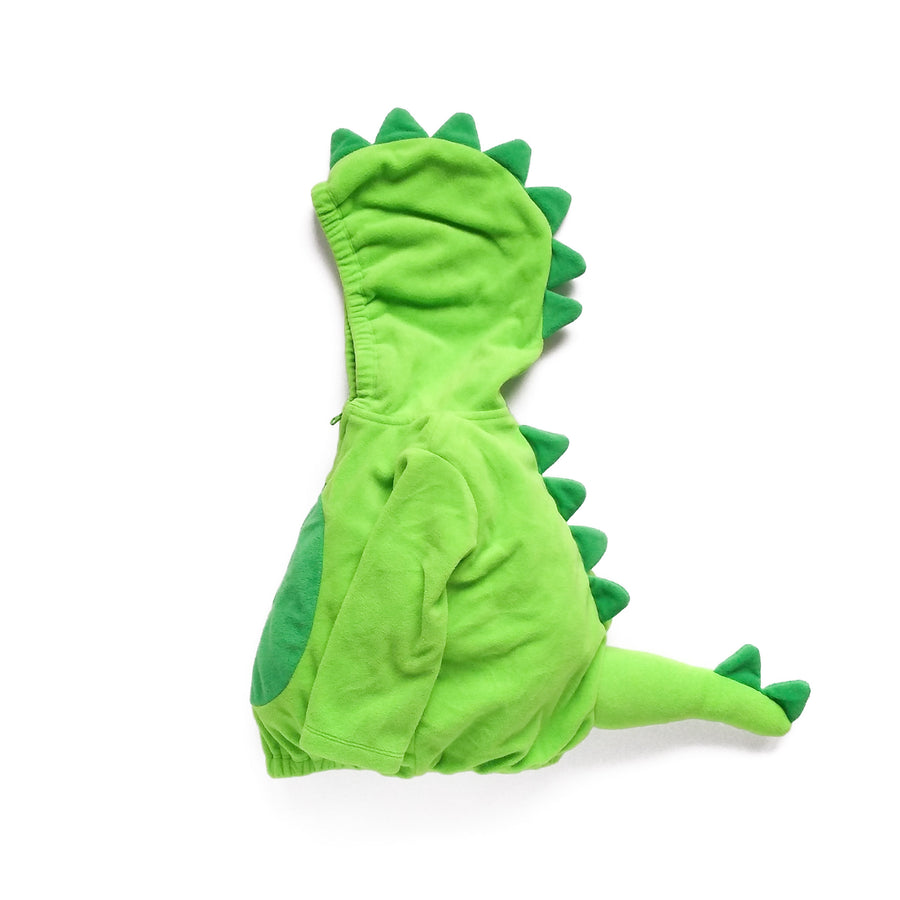 Carter's dinosaur costume 12m